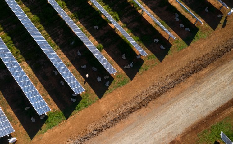  WIRSOL Adds Another 313MW of Solar to their O&M Portfolio Across QLD and NSW