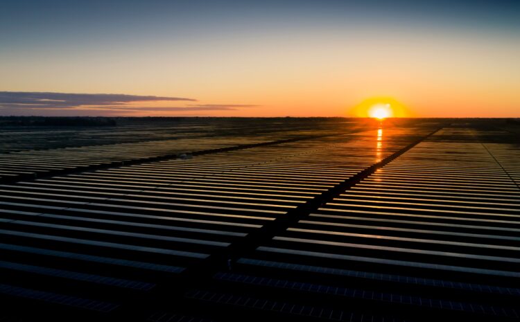  Finley Solar Farm