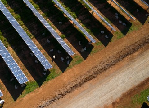 Finley Solar Farm, Source: John Laing